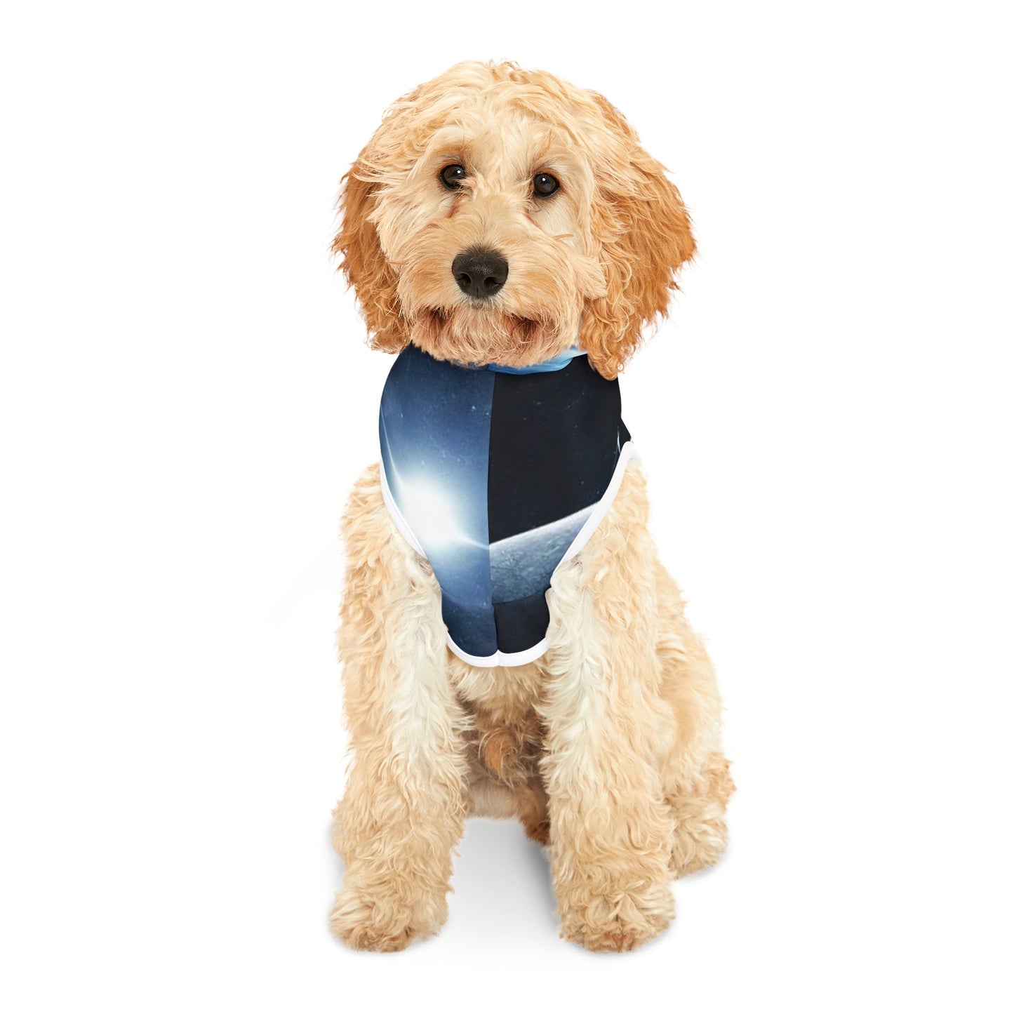 Premium Mia Pet Hoodies