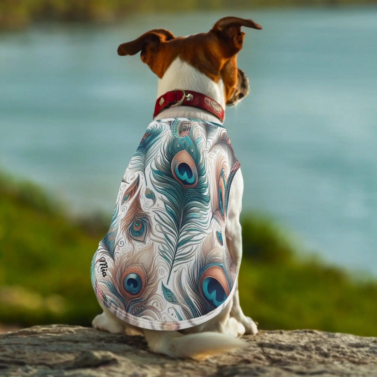 Pet Shirt Clothing for Small and Medium: Dogs and Cats