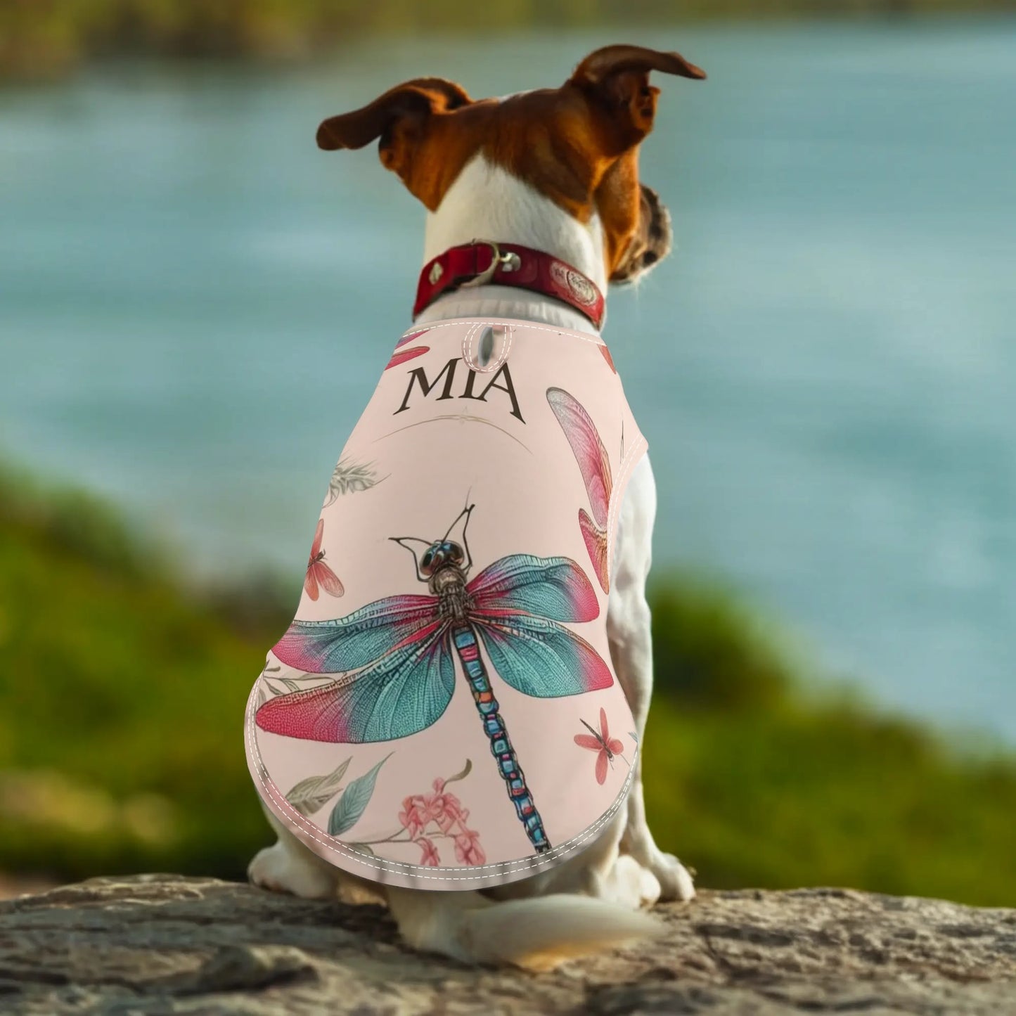 Pet Shirt Clothing for Small and Medium: Dogs and Cats