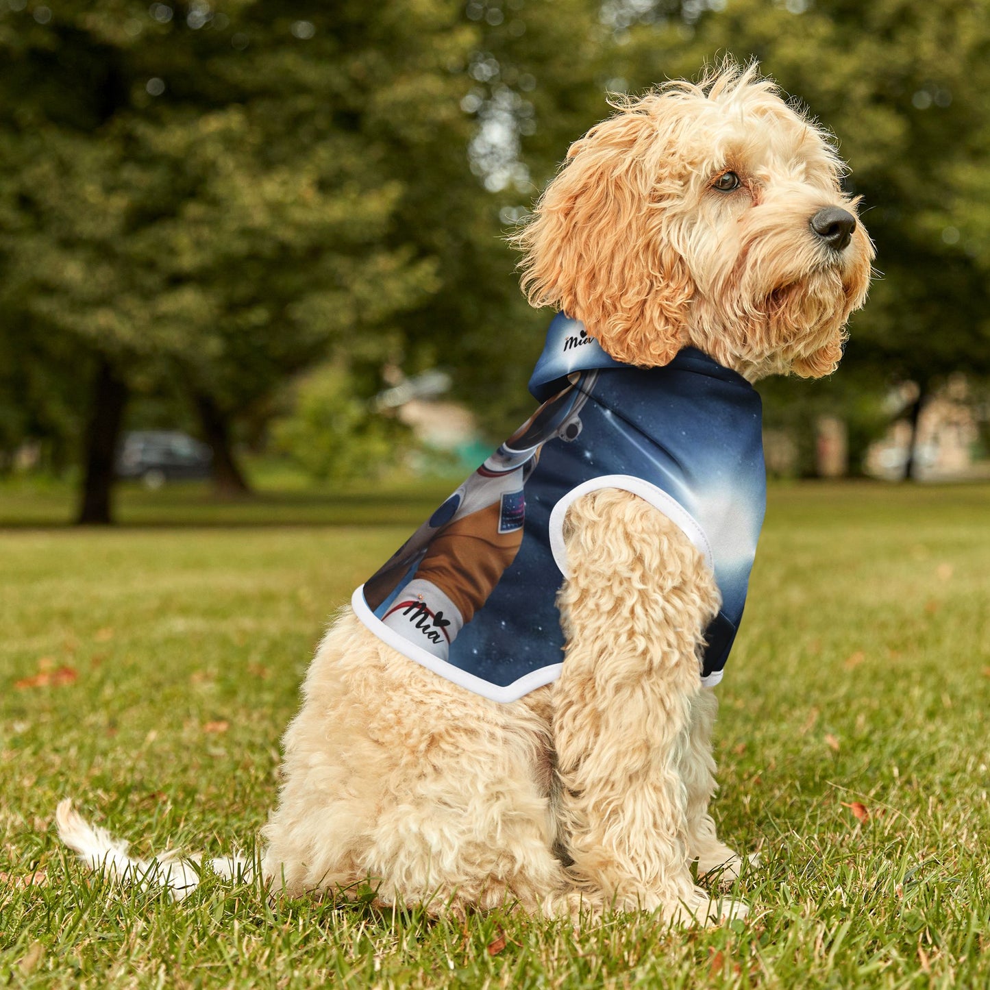 Premium Mia Pet Hoodies