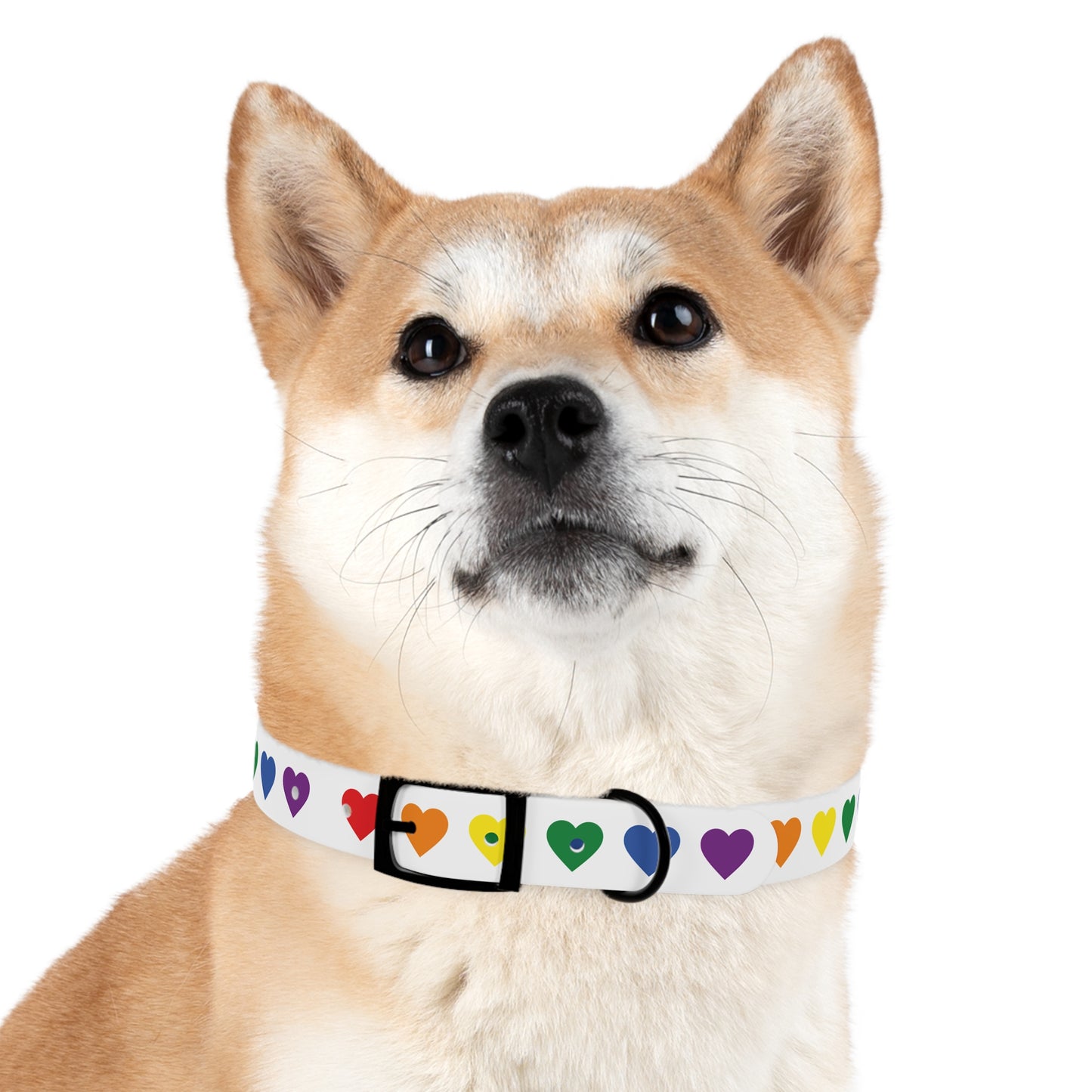 Mia Collection Dog Collar