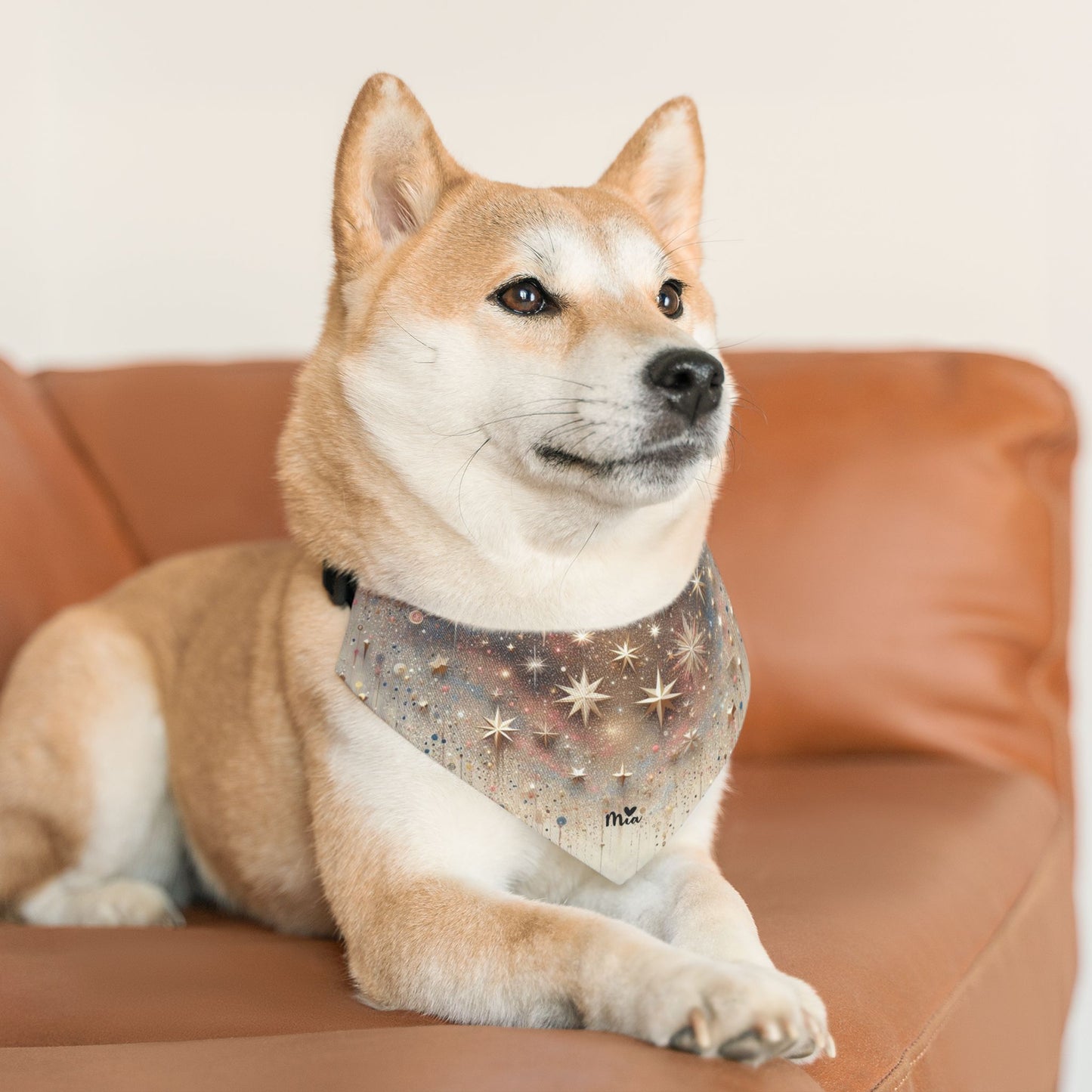 Mia Pet Bandana Collar