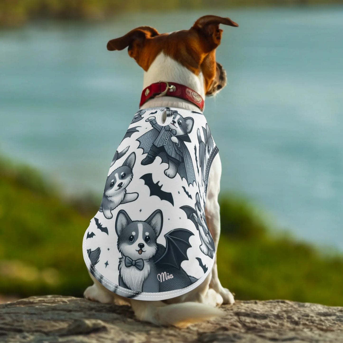 Pet Shirt Clothing for Small and Medium: Dogs and Cats