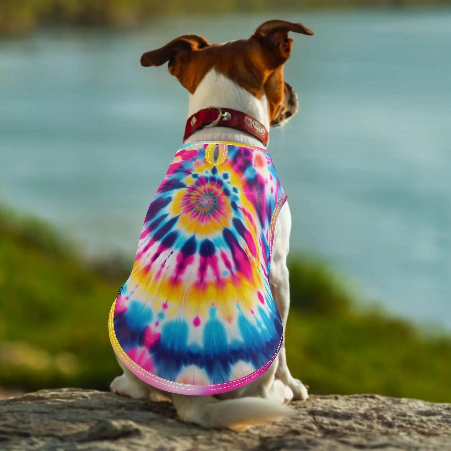 Pet Shirt Clothing for Small and Medium: Dogs and Cats