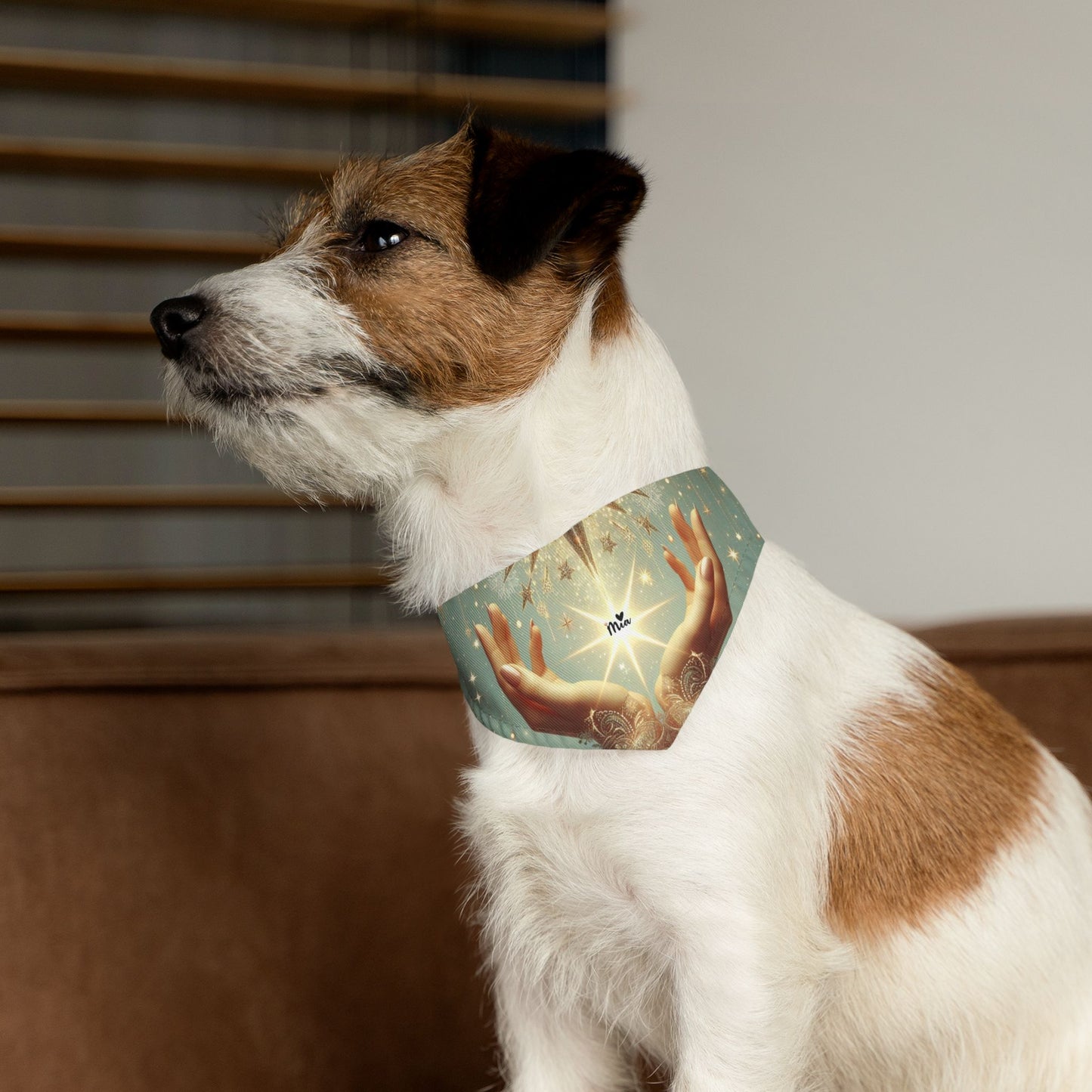 Mia Pet Bandana Collar