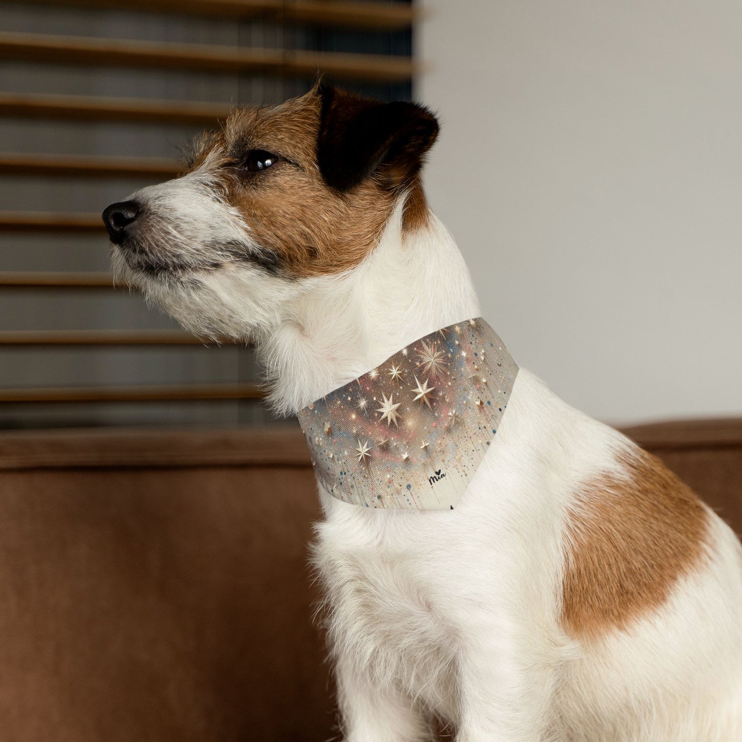 Mia Pet Bandana Collar
