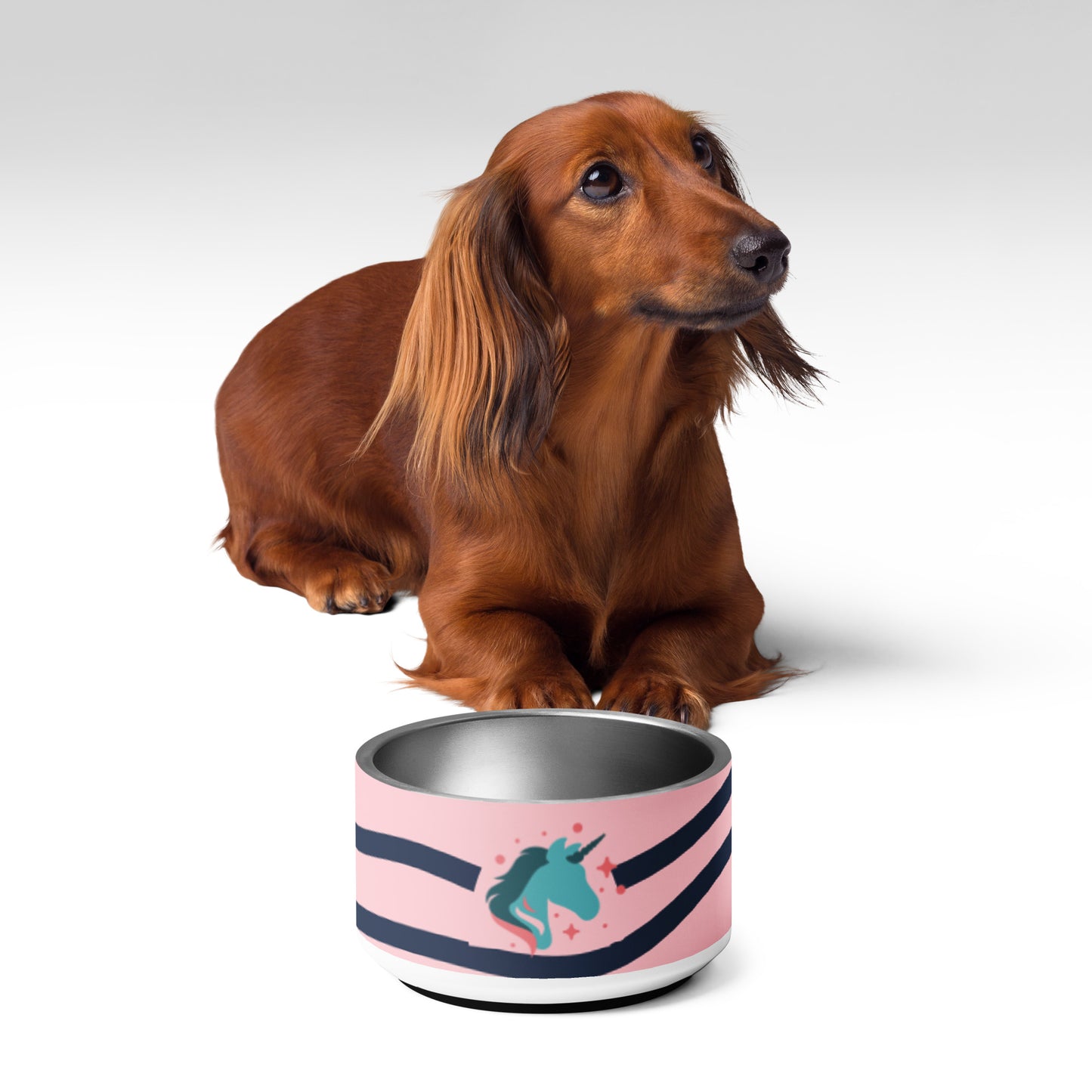 Pet bowl